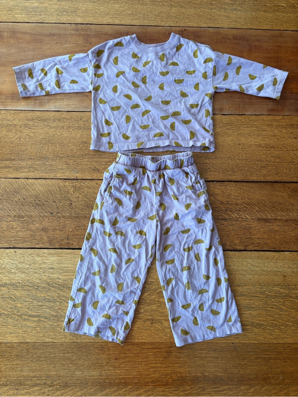 Hanna Andersson Lavender Two-Piece Pajama Set with Olive Print